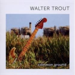 Walter Trout : Common Ground